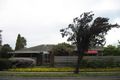 Property photo of 8/88 Chapel Road Moorabbin VIC 3189