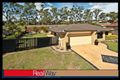 Property photo of 8 Chestnut Drive Flinders View QLD 4305