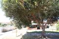 Property photo of 2 Thomas Street Cowandilla SA 5033
