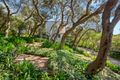 Property photo of 54 Dunham Street Rye VIC 3941