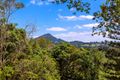 Property photo of 34 Crescent Road Eumundi QLD 4562