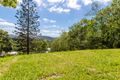 Property photo of 34 Crescent Road Eumundi QLD 4562