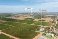 Property photo of 62 Edmondson Road Loxton SA 5333