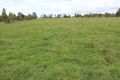 Property photo of 44 Strachan Road Spring Hill NSW 2800