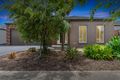 Property photo of 13 Rowan Avenue Williams Landing VIC 3027