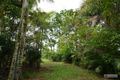 Property photo of 2 Palm Avenue Millaa Millaa QLD 4886