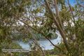 Property photo of 42/65 Hobart Place Illawong NSW 2234