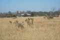 Property photo of 60 Muster Drive Napperby SA 5540