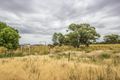 Property photo of 675 Johns Road Barellan NSW 2665