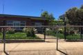 Property photo of 38 Collingwood Street Risdon Park SA 5540