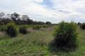 Property photo of 217 McPhee Road Durong QLD 4610