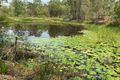Property photo of 319 North Deep Creek Road North Deep Creek QLD 4570