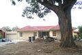 Property photo of 16 Kooemba Road Beverly Hills NSW 2209