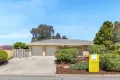 Property photo of 3 Plane Tree Drive Craigmore SA 5114