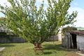 Property photo of 2 Hall Street St Helens TAS 7216