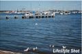 Property photo of 73 Evans Street Belmont NSW 2280