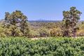 Property photo of 17 Three Kangaroos Way Byford WA 6122