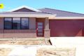 Property photo of 7 Faolan Way Cranbourne West VIC 3977