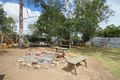Property photo of 47 Errol Court Cedar Grove QLD 4285