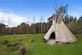 Property photo of 41 Trewins Lane Musk Vale VIC 3461