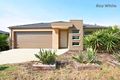 Property photo of 127 Greens Road Wyndham Vale VIC 3024