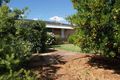 Property photo of 4 Gregory Street Kojonup WA 6395