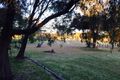 Property photo of 616 Layman Road Wonnerup WA 6280