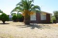 Property photo of 53 Percy Street Junee NSW 2663