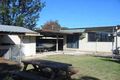 Property photo of 23 Vianney Crescent Toongabbie NSW 2146