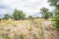 Property photo of 675 Johns Road Barellan NSW 2665
