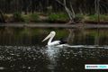 Property photo of 13 Redcliffe Road Greenfields WA 6210