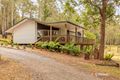 Property photo of 43 Narira Park Lane Cobargo NSW 2550