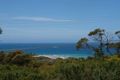 Property photo of 15 Jackson Street Anglesea VIC 3230