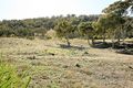 Property photo of 18/11 Florence Fuller Crescent Conder ACT 2906