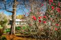 Property photo of 5 Bean Street Dorrigo NSW 2453