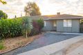 Property photo of 11 Gum Crescent Gawler West SA 5118