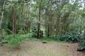 Property photo of 81 Yarrimbah Drive Nerang QLD 4211