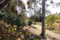 Property photo of 47 Roper Road Willyaroo SA 5255