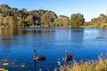 Property photo of 8 Petrus Place Sippy Downs QLD 4556