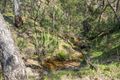Property photo of 631 Mullins Creek Road Gurrundah NSW 2581