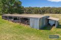 Property photo of 146 Norden Road Black Mountain NSW 2365