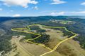 Property photo of 4243 Paddys Flat Road Tooloom NSW 2475