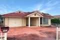 Property photo of 161 Proctor Parade Chester Hill NSW 2162