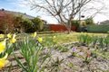 Property photo of 33 Elder Street Braddon ACT 2612