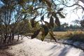 Property photo of 51 Campbell Parade Beachmere QLD 4510