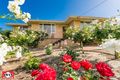 Property photo of 49 Chartwell Way Swan View WA 6056