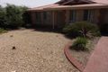 Property photo of 6 Withers Circuit Evanston Park SA 5116