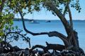Property photo of 7 Esplanade Tin Can Bay QLD 4580