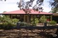 Property photo of 81 Lockhart Street Whyalla SA 5600