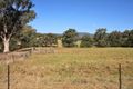 Property photo of 77 Eloura Road Tintinhull NSW 2352
